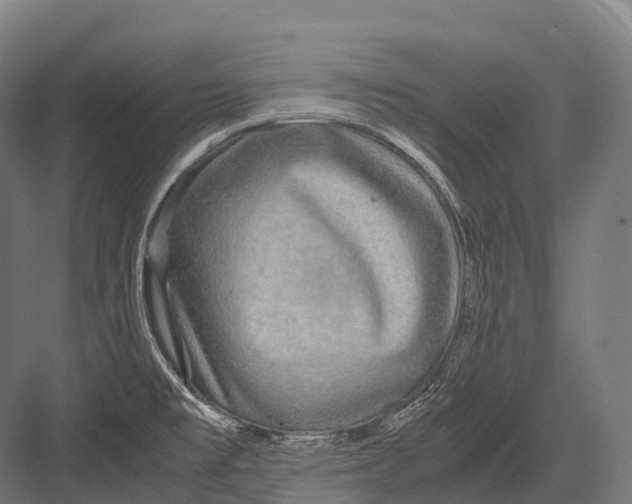 X0000081591477200702121501
