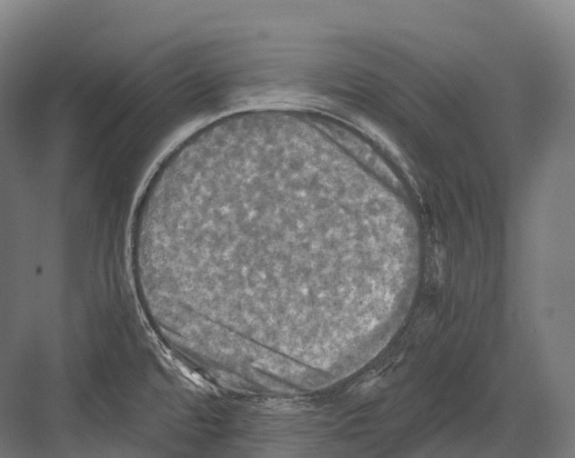 X0000081591480200702121501