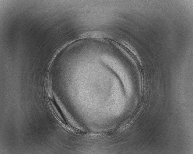 X0000081591481200702121501