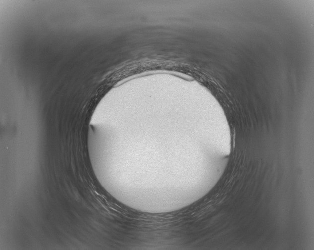 X0000081591492200702121500