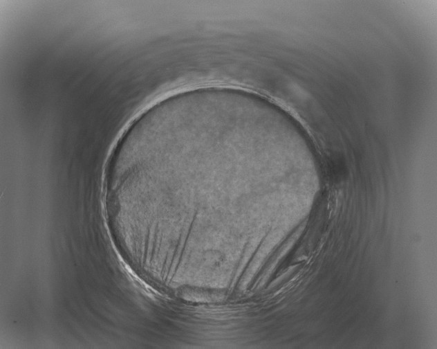 X0000081591508200702121500