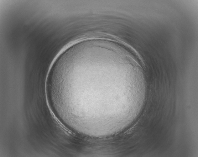 X0000081591514200702121500