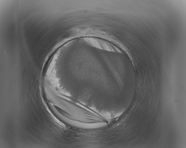X0000081591525200702121500