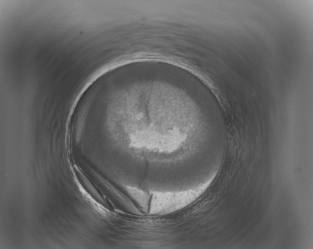 X0000081591527200702121500