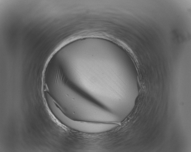 X0000081591528200702121500