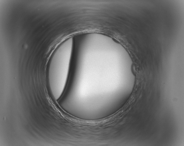 X0000081600002200701151106