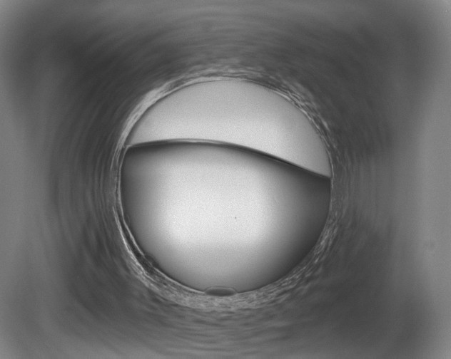 X0000081600003200701151106