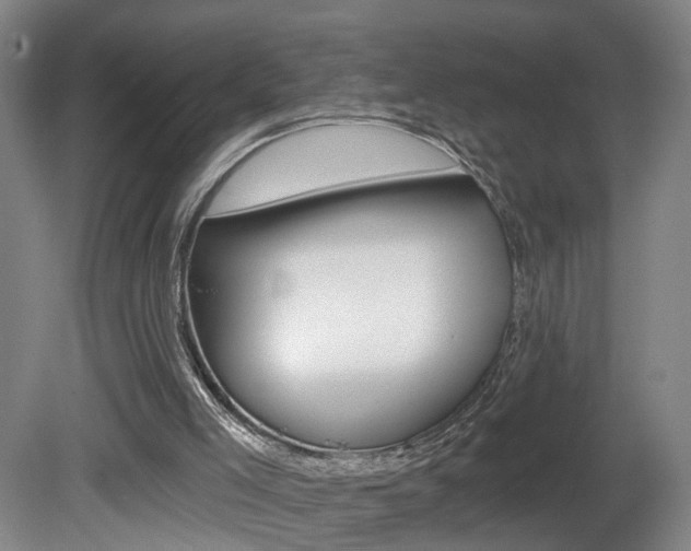 X0000081600005200701151106