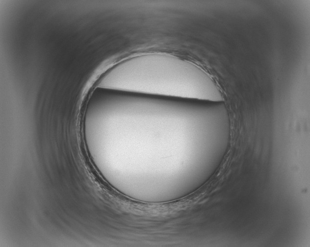 X0000081600006200701151106