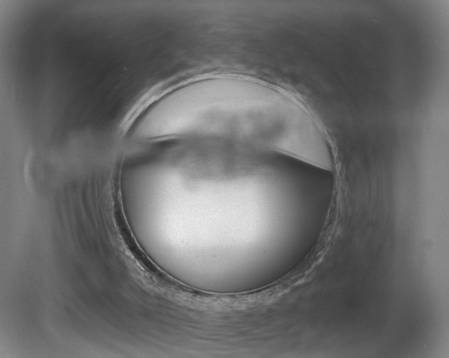 X0000081600007200701151106