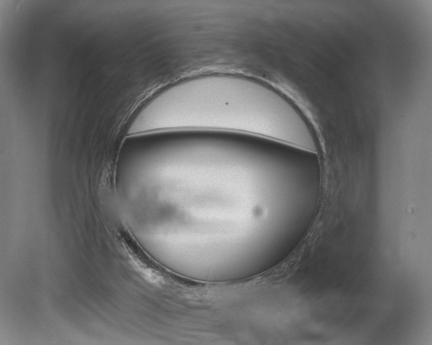 X0000081600009200701151106
