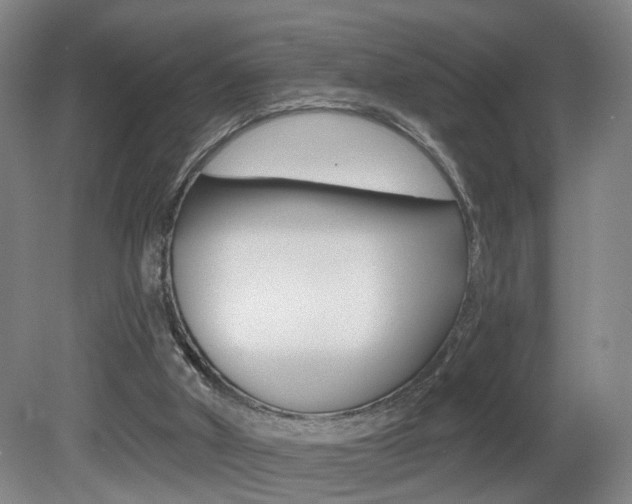 X0000081600010200701151106