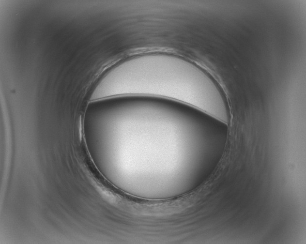 X0000081600013200701151106