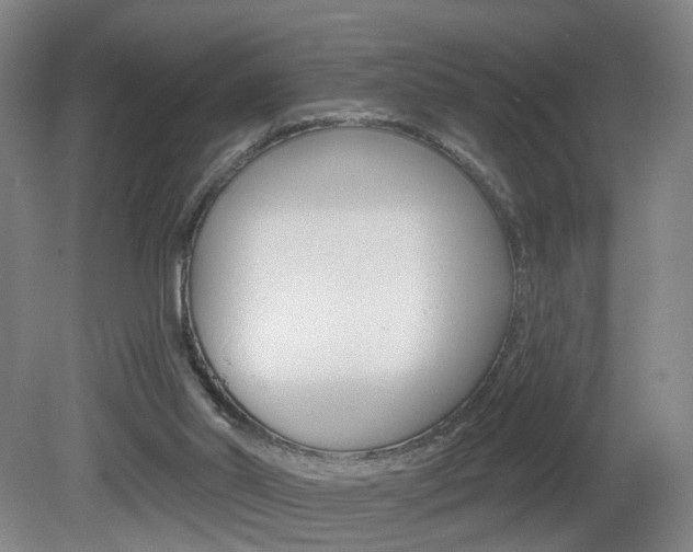 X0000081600014200701151106