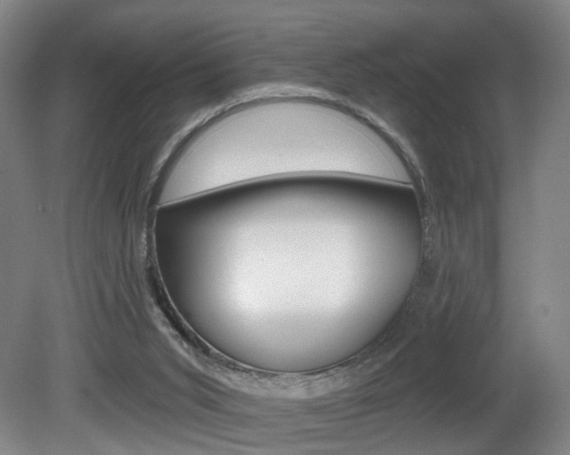 X0000081600015200701151106