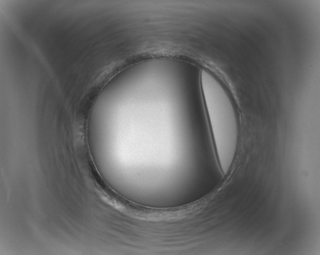 X0000081600017200701151106
