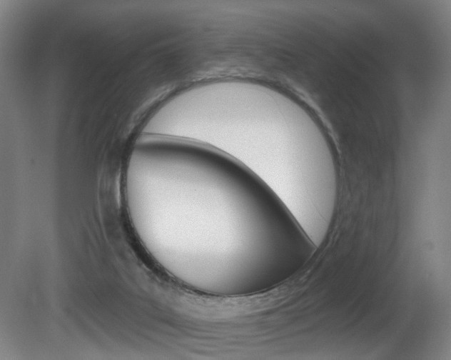 X0000081600019200701151106