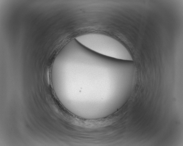 X0000081600022200701151106