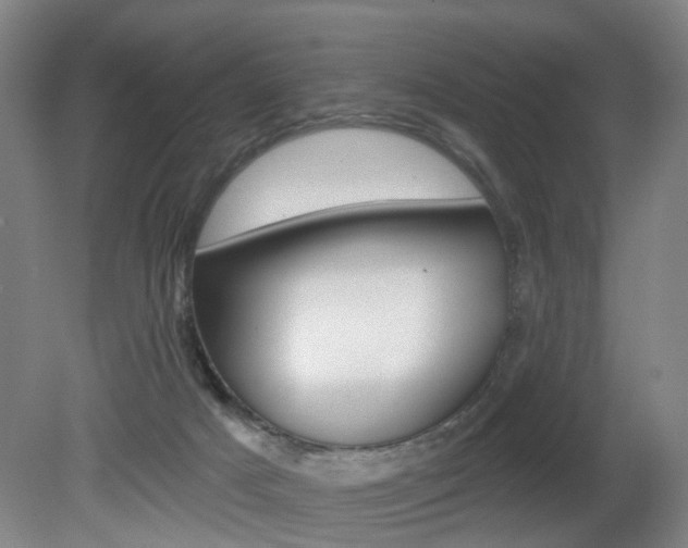 X0000081600025200701151105
