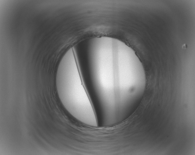 X0000081600027200701151105