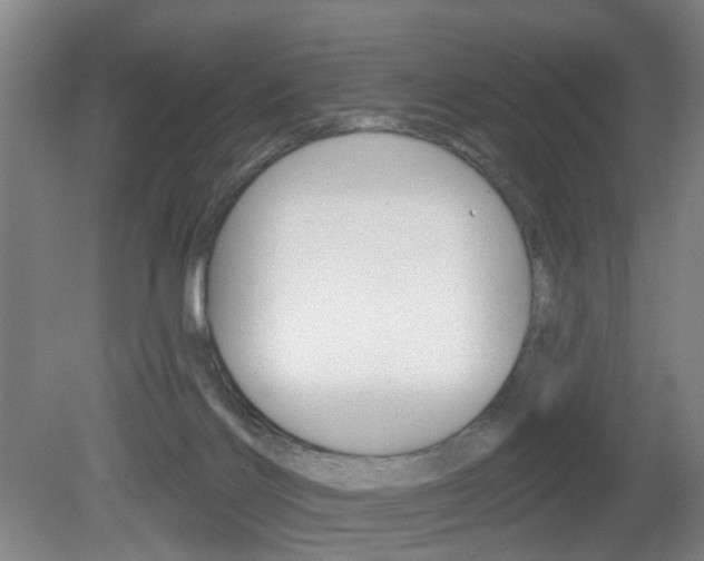 X0000081600028200701151105
