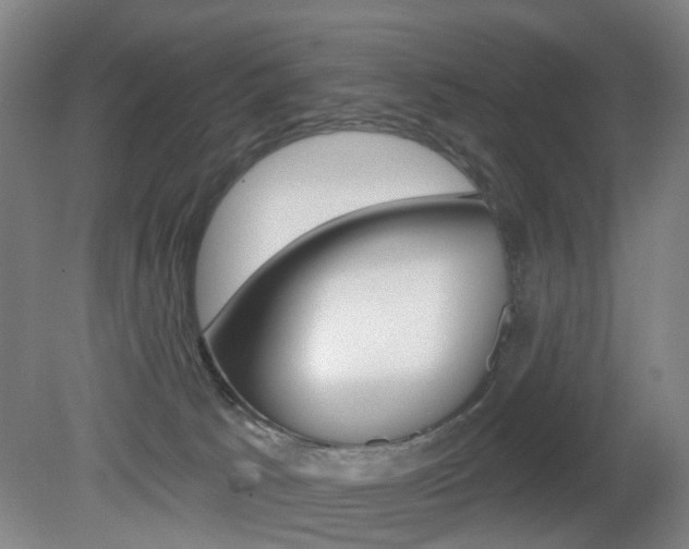 X0000081600033200701151105