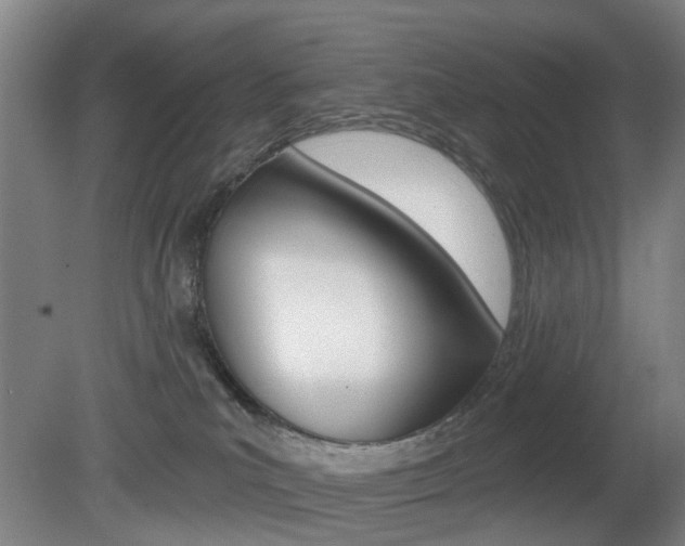 X0000081600039200701151105
