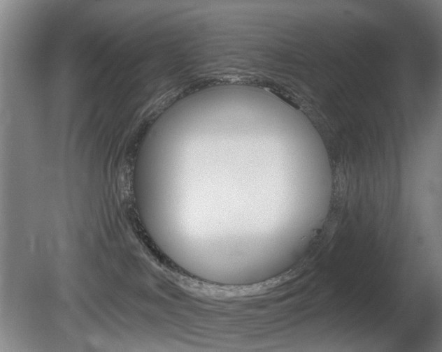 X0000081600043200701151105