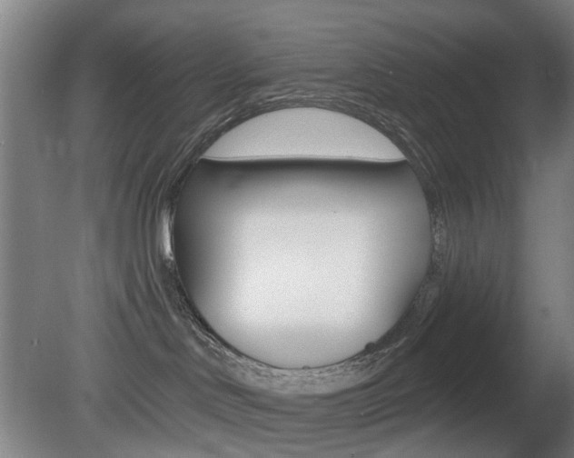 X0000081600046200701151105