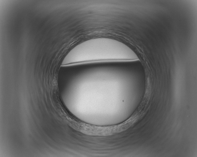 X0000081600048200701151105