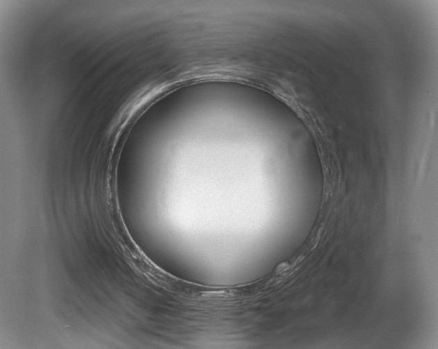 X0000081600050200701151104