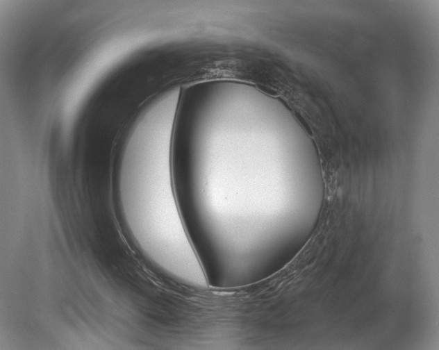 X0000081600052200701151104