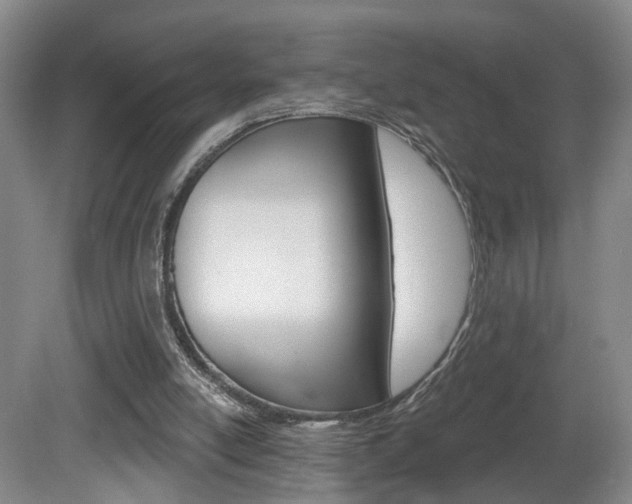 X0000081600054200701151104