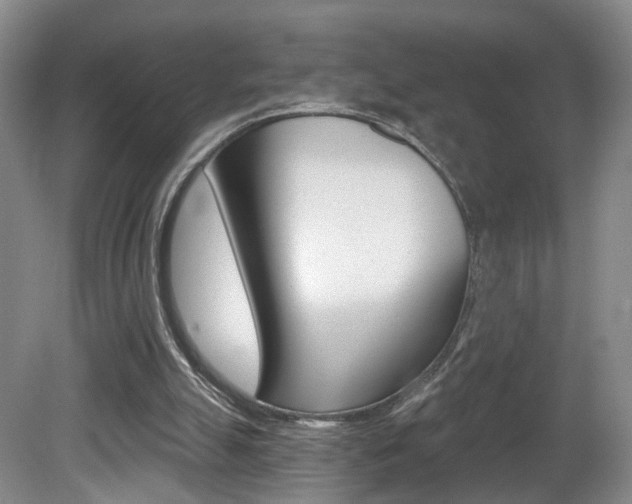 X0000081600055200701151104