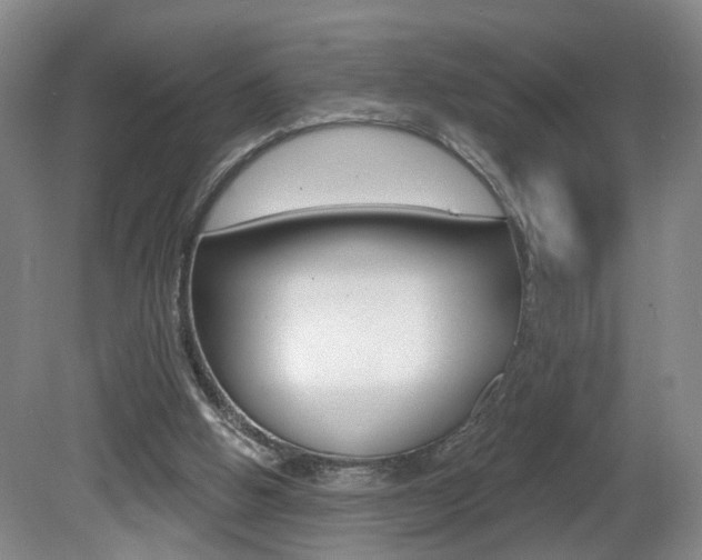 X0000081600058200701151104