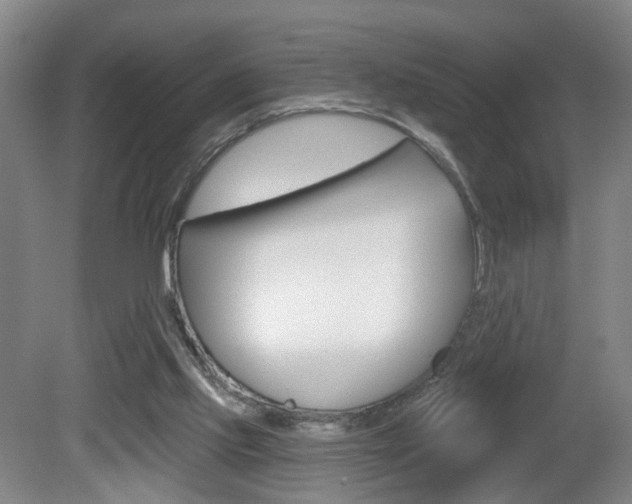 X0000081600061200701151104