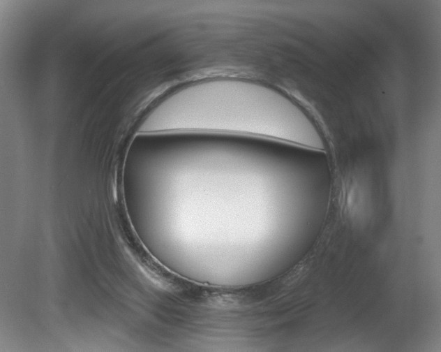 X0000081600062200701151105