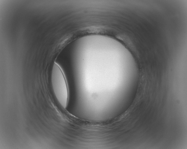 X0000081600066200701151105