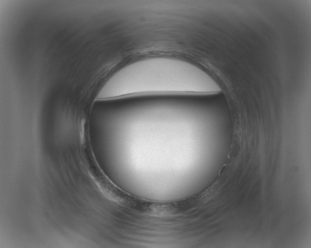X0000081600070200701151105