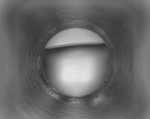 X0000081600073200701151105