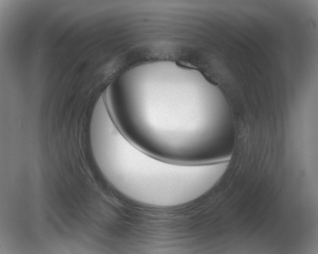 X0000081600080200701151105