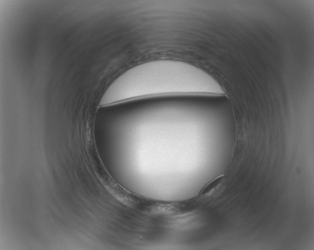X0000081600086200701151105