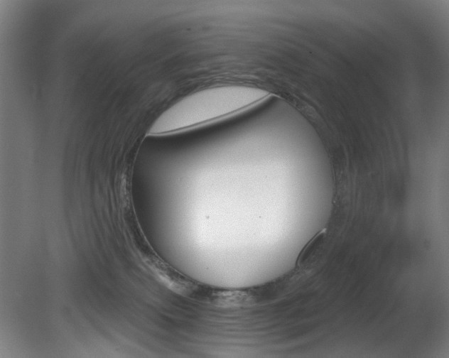 X0000081600087200701151105