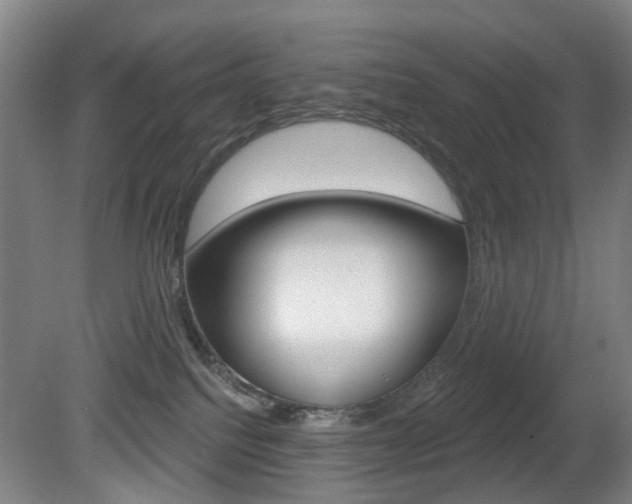 X0000081600088200701151105