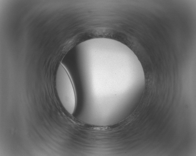 X0000081600089200701151105
