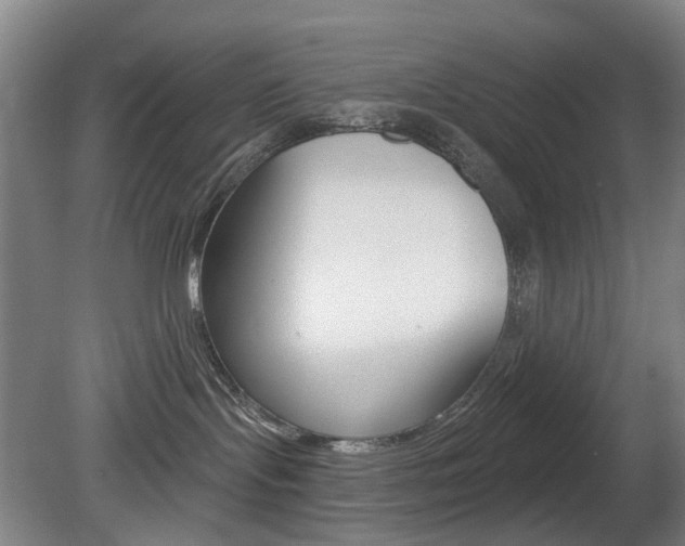 X0000081600095200701151105