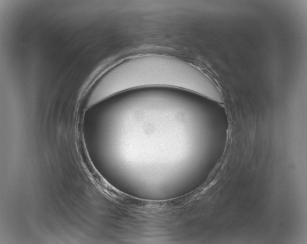 X0000081600101200701151104