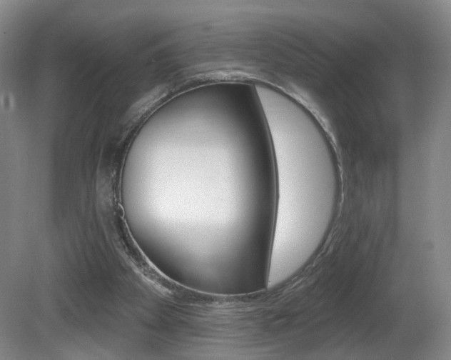 X0000081600105200701151104