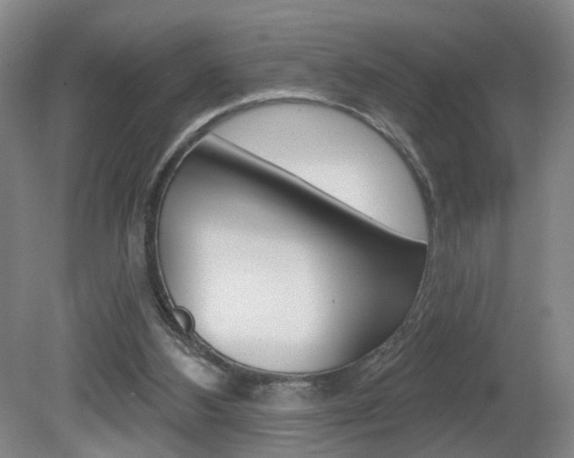 X0000081600108200701151104