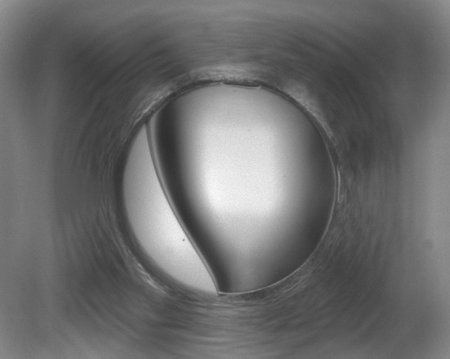 X0000081600109200701151104